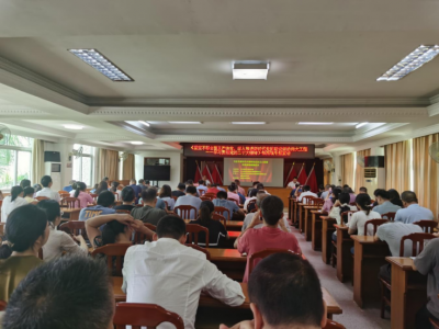 强国复兴有我丨传承红色基因 赓续红色血脉——梅南镇组织开展“七一”系列活动