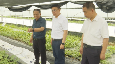 刘裕君深入广福镇叶田村蹲点调研：做大做强村集体经济 让群众共享发展红利