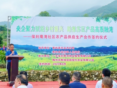 央企助力苏区产品高质融湾！今天他们在梅州蕉岭签约！