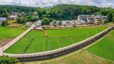 蕉岭县“田长”上线！