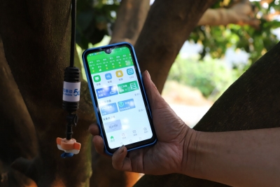 用数智力量赋能柚产业发展！梅州移动打造智慧农业数字平台助农富农