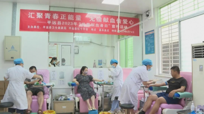 平远县广大干群汇聚社会正能量 无偿献血传爱心