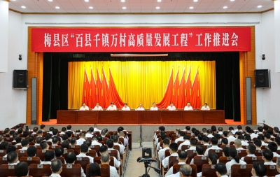 梅县区“百县千镇万村高质量发展工程”工作推进会召开