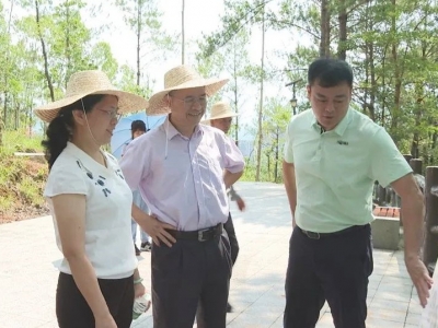 陈元星到蕉岭开展“深入实施绿美梅州生态建设  推动生态优势转化为发展优势”专题议政调研