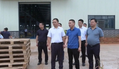 周小勇到平远部分重点企业调研