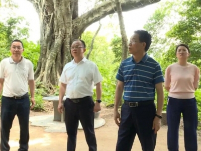 马志元率调研组到丰顺县开展深入实施绿美梅州生态建设专题议政调研