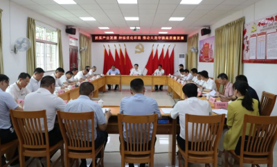 张志锋到大龙华镇开展专题调研：明确任务定点发力加快镇村建设发展特色产业 扎实推动“百县千镇万村高质量发展工程”取得实效