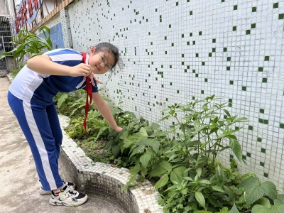 照片墙丨劳动创造幸福