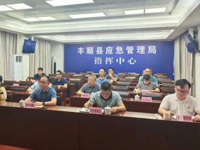 丰顺县安全防范工作会议暨燃气安全整治专项工作会议召开