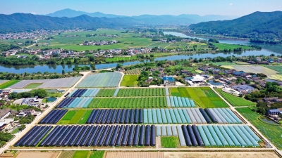 蕉岭县：“田长”管田劲头足 平畴沃野尽欢歌