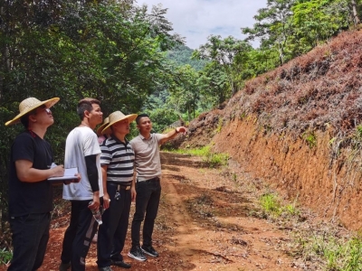 大埔对2023年森林抚育作业开展督导检查