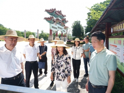 省督导组来梅督导全面推行林长制和绿美广东生态建设工作：立足绿色生态优势 打造绿美广东“梅州样板”