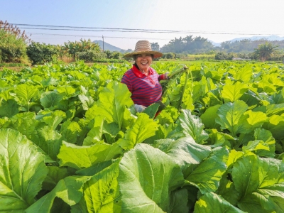 “党建+农超”让村民鼓起“钱袋子”！来看梅州优秀案例→