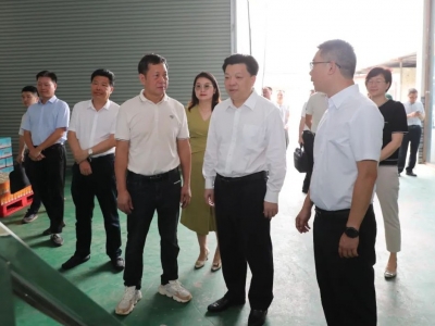 张志锋到汤南镇开展专题调研：强化党建引领激发内生动力推动“百千万工程”落地见效