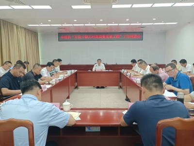 丰顺县“百县千镇万村高质量发展工程”工作推进会召开 全力以赴推动“百千万工程”取得突破性进展