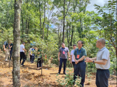 梅江区人大常委会组织人大代表视察清凉山省级自然保护区建设管理工作