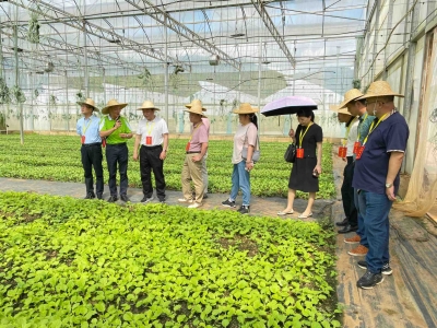 曾祥海率队开展市政协重点提案督办调研：重抓质量和品牌 扎实建设农业强市