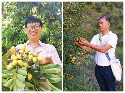 点赞！梅州2人入选为国家林草乡土专家