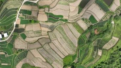 蕉岭县三圳镇：治出基层欣欣向荣 理得群众笑逐颜开 