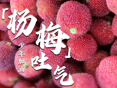 9张图送你！2023，高考必胜！