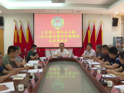 平远县政协召开工业园三期与石正镇一体化规划建设专题调研座谈会