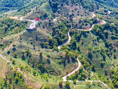 以生态“含绿量”提升发展“含金量”！丰顺县统筹推进绿美丰顺生态建设“八大工程”