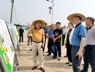 张达宏率队到兴宁市开展重点建议跟踪督办工作：抓好建议办理 助推农业现代化