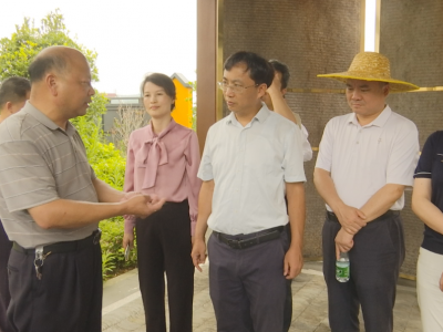 省委宣传部精神文明创建处到蕉岭县调研指导文明城市创建工作