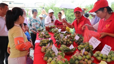 果王卖出3000高价！五华县棉洋镇竹坑村罗公岭桃驳果开园