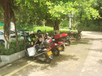 端午假期我市部分景区存在不文明行为，期待游人素质再提高