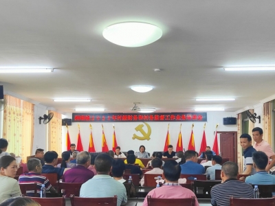 大埔县洲瑞镇开展2023年度村级财务和村务监督工作业务培训
