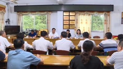 省直机关工委调研组到丰顺汤西镇调研乡村振兴等工作