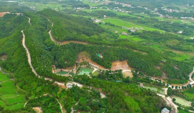 汇聚保护合力助力绿美生态建设！梅州市野生动植物保护协会第二届第一次会员大会召开
