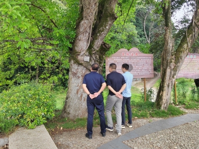 五华检察开展古树名木保护专项监督行动