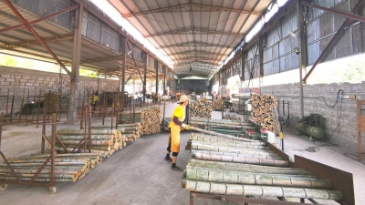 铆“竹”干劲 激发动力！蕉岭县长潭镇盘活资源积极发展壮大竹产业 