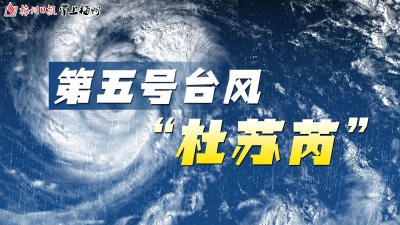 滚动丨“杜苏芮”在福建晋江沿海登陆，梅州解除台风预警信号、结束防风Ⅲ级应急响应