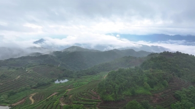 “你好·天然林”原创短视频创作大赛优秀作品展示——《清凉山云雾缭绕》