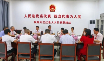 黄增国参加“更好发挥人大代表作用”主题活动：听民生 聚民意 解民忧 推动大埔各项事业更好更快发展