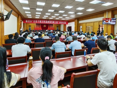 梅县区举行“百县千镇万村高质量发展工程”专题培训