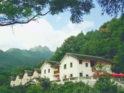 梅县区：扎实推进村史编写、村史馆建设 为乡村振兴注入文化力量