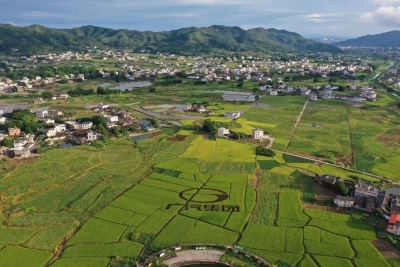 平远县东石镇：发挥资源优势 建好美丽圩镇