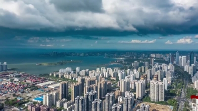 “走在前列•我们在行动”系列主题宣传片：张金虹  湛江徐闻港有限公司董事长