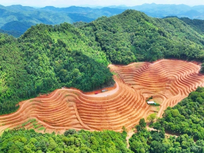 寿乡蕉岭·深度：党建引领产业兴 乡村发展阔步行