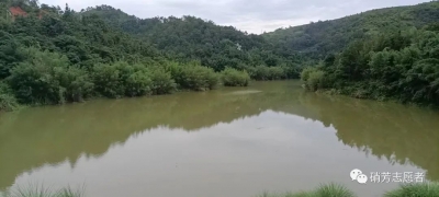 五华一小孩不慎滑落水库，村干部纵身一跃跳水救人