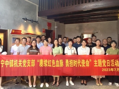 兴宁市宁中镇以新担当新作为扎实推进“百千万工程”工作