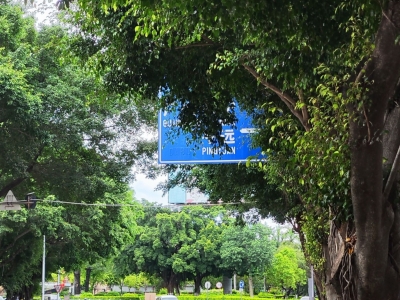 梅松路交通标志牌多被遮挡，影响机动车出行