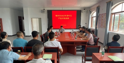 梅江区西阳镇举办茶叶生产能力培训班
