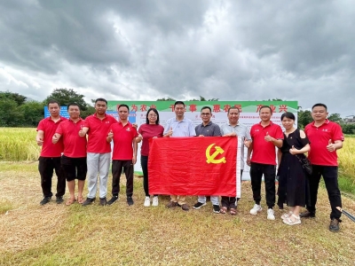 喜看稻菽千重浪！市供销合作社：党建赋能 “复耕地”走出“新稻路”