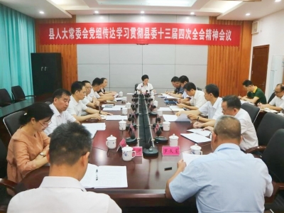 大埔县人大常委会议召开党组（主任）扩大会议 贯彻县委十三届四次全会精神 推动人大工作取得新成效