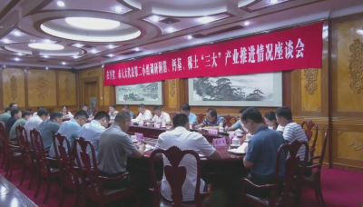 在平省市人大代表第二小组调研铜箔钙基稀土“三大”产业推进情况